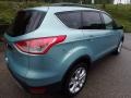 2013 Frosted Glass Metallic Ford Escape SEL 2.0L EcoBoost 4WD  photo #2