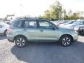 Jasmine Green Metallic - Forester 2.5i Photo No. 6