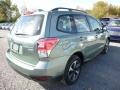 Jasmine Green Metallic - Forester 2.5i Photo No. 7