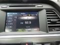 Audio System of 2017 Sonata Sport