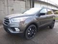Magnetic - Escape SE 4WD Photo No. 7