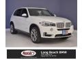 Alpine White - X5 sDrive35i Photo No. 1
