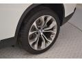 Alpine White - X5 sDrive35i Photo No. 9