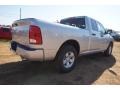 Bright Silver Metallic - 1500 Express Quad Cab Photo No. 3