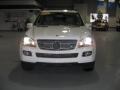 Alabaster White - GL 450 Photo No. 1