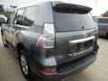 Nebula Gray Pearl - GX 460 Photo No. 3