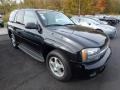 Black - TrailBlazer LS 4x4 Photo No. 5