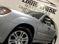 Steel Silver Metallic - Forester 2.5 X Sports Photo No. 19