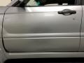 Steel Silver Metallic - Forester 2.5 X Sports Photo No. 31