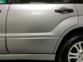 Steel Silver Metallic - Forester 2.5 X Sports Photo No. 33