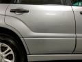 Steel Silver Metallic - Forester 2.5 X Sports Photo No. 34