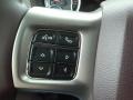 Canyon Brown/Light Frost Beige Controls Photo for 2017 Ram 3500 #116736292