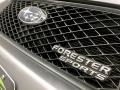 Steel Silver Metallic - Forester 2.5 X Sports Photo No. 97