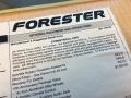 Steel Silver Metallic - Forester 2.5 X Sports Photo No. 106