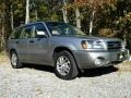 Crystal Gray Metallic - Forester 2.5 XS L.L.Bean Edition Photo No. 3