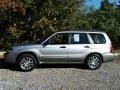 Crystal Gray Metallic - Forester 2.5 XS L.L.Bean Edition Photo No. 5