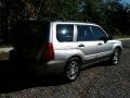 Crystal Gray Metallic - Forester 2.5 XS L.L.Bean Edition Photo No. 7