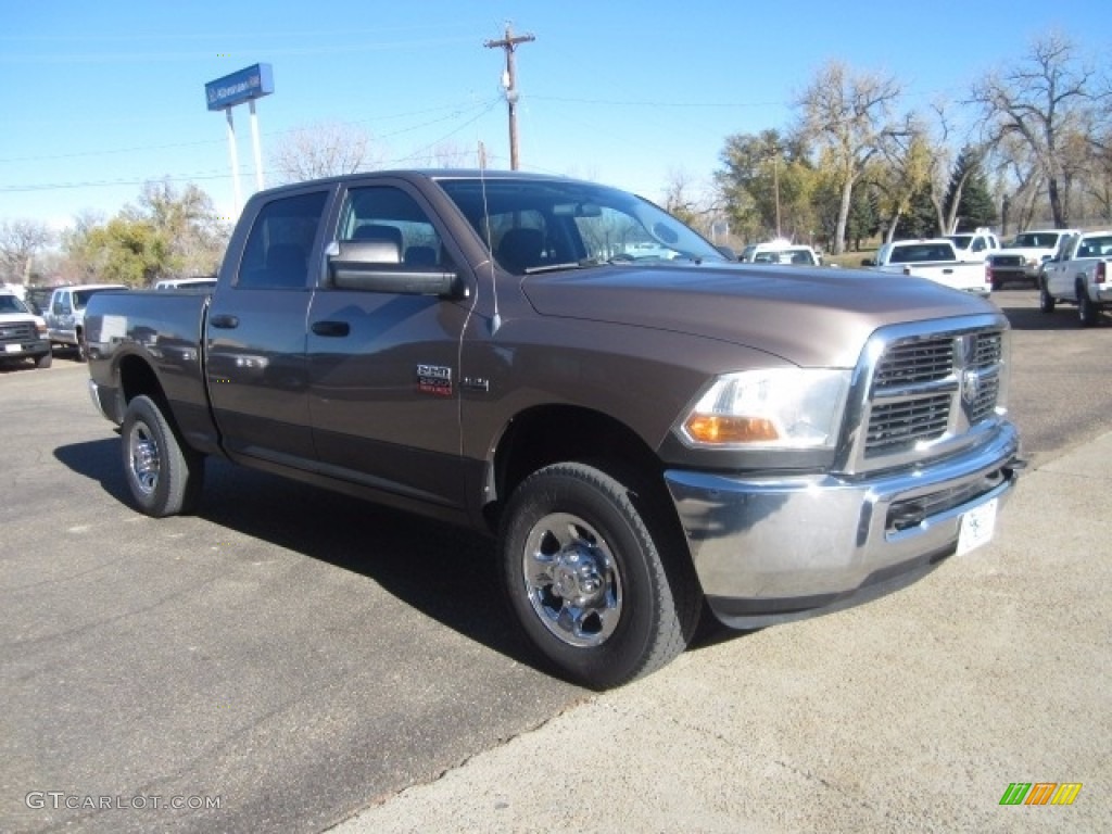 2010 Ram 2500 ST Crew Cab 4x4 - Austin Tan Pearl / Dark Slate/Medium Graystone photo #2