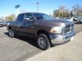 2010 Austin Tan Pearl Dodge Ram 2500 ST Crew Cab 4x4  photo #2