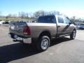 2010 Austin Tan Pearl Dodge Ram 2500 ST Crew Cab 4x4  photo #3