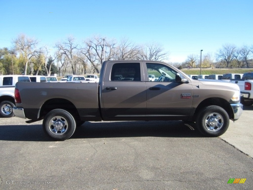 2010 Ram 2500 ST Crew Cab 4x4 - Austin Tan Pearl / Dark Slate/Medium Graystone photo #6