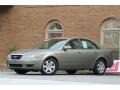 Bright Silver - Sonata GLS V6 Photo No. 2