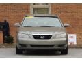Bright Silver - Sonata GLS V6 Photo No. 4