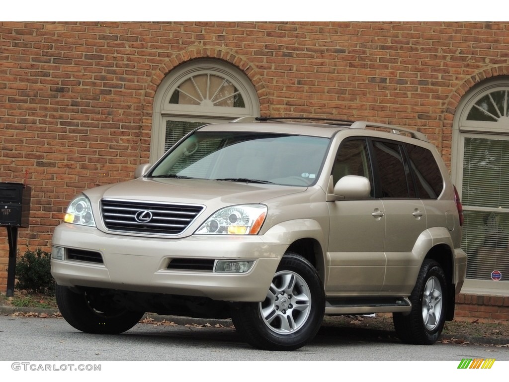 2007 GX 470 - Titanium Metallic / Ivory photo #1