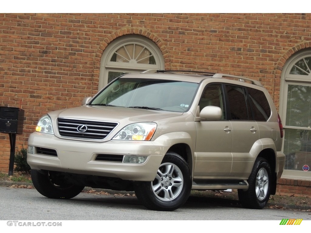 2007 GX 470 - Titanium Metallic / Ivory photo #2