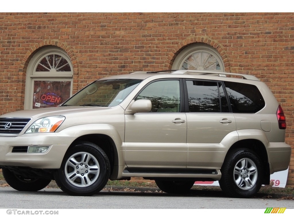 2007 GX 470 - Titanium Metallic / Ivory photo #3