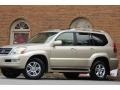 Titanium Metallic - GX 470 Photo No. 3