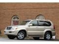Titanium Metallic - GX 470 Photo No. 4