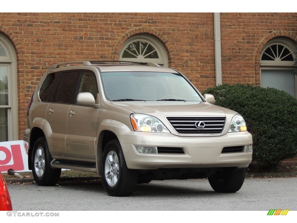 2007 GX 470 - Titanium Metallic / Ivory photo #6