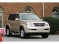 Titanium Metallic - GX 470 Photo No. 6