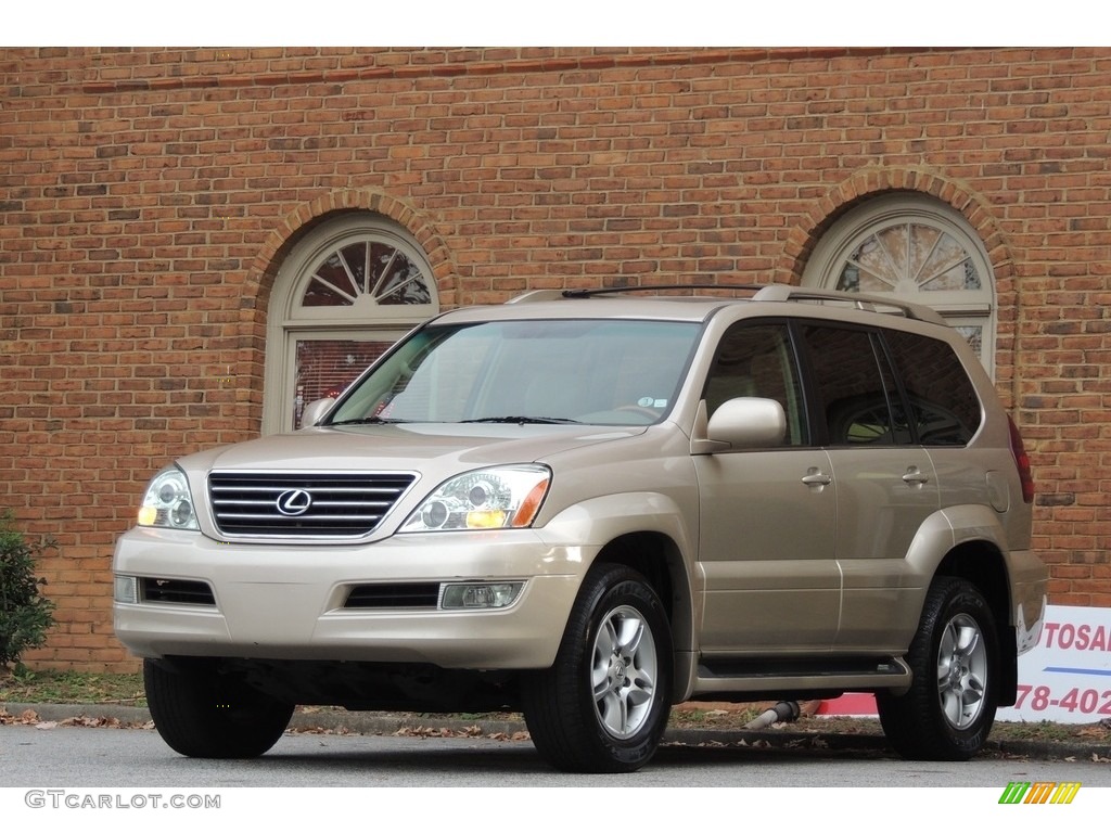 2007 GX 470 - Titanium Metallic / Ivory photo #7