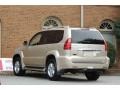 Titanium Metallic - GX 470 Photo No. 10