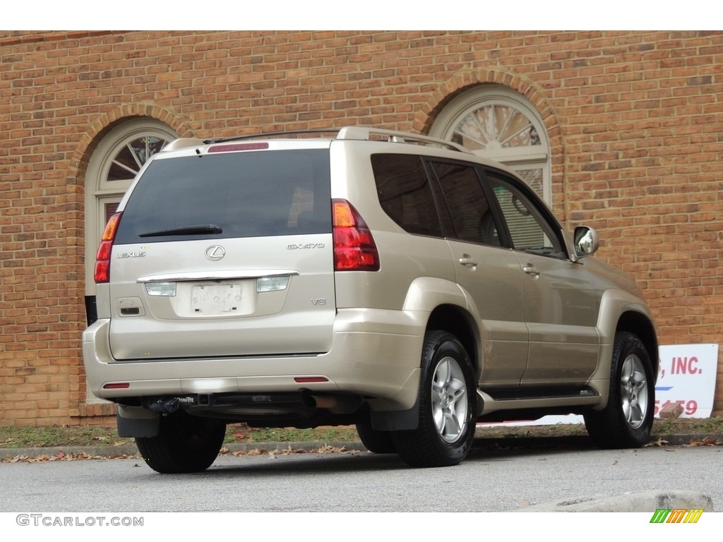 2007 GX 470 - Titanium Metallic / Ivory photo #11