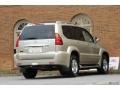 Titanium Metallic - GX 470 Photo No. 11