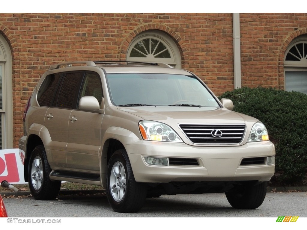 2007 GX 470 - Titanium Metallic / Ivory photo #37