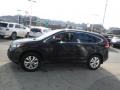 Kona Coffee Metallic - CR-V EX-L AWD Photo No. 5