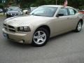 Light Sandstone Metallic - Charger SE Photo No. 2