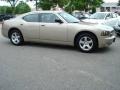 Light Sandstone Metallic - Charger SE Photo No. 7
