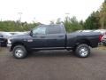 Maximum Steel Metallic 2017 Ram 2500 Tradesman Crew Cab 4x4 Exterior