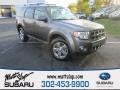 Sterling Gray Metallic 2012 Ford Escape Limited V6
