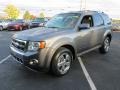 Sterling Gray Metallic - Escape Limited V6 Photo No. 2