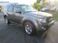 Sterling Gray Metallic - Escape Limited V6 Photo No. 4