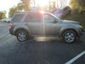 Sterling Gray Metallic - Escape Limited V6 Photo No. 5