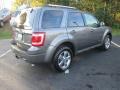 Sterling Gray Metallic - Escape Limited V6 Photo No. 6