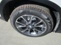 Alpine White - X5 xDrive35i Photo No. 3