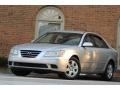 Bright Silver - Sonata GLS Photo No. 22